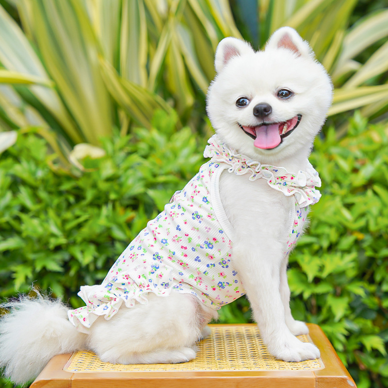 Fashion Floral Dog Dress Dog S - đánh giá và giá Summer Loving Clothing