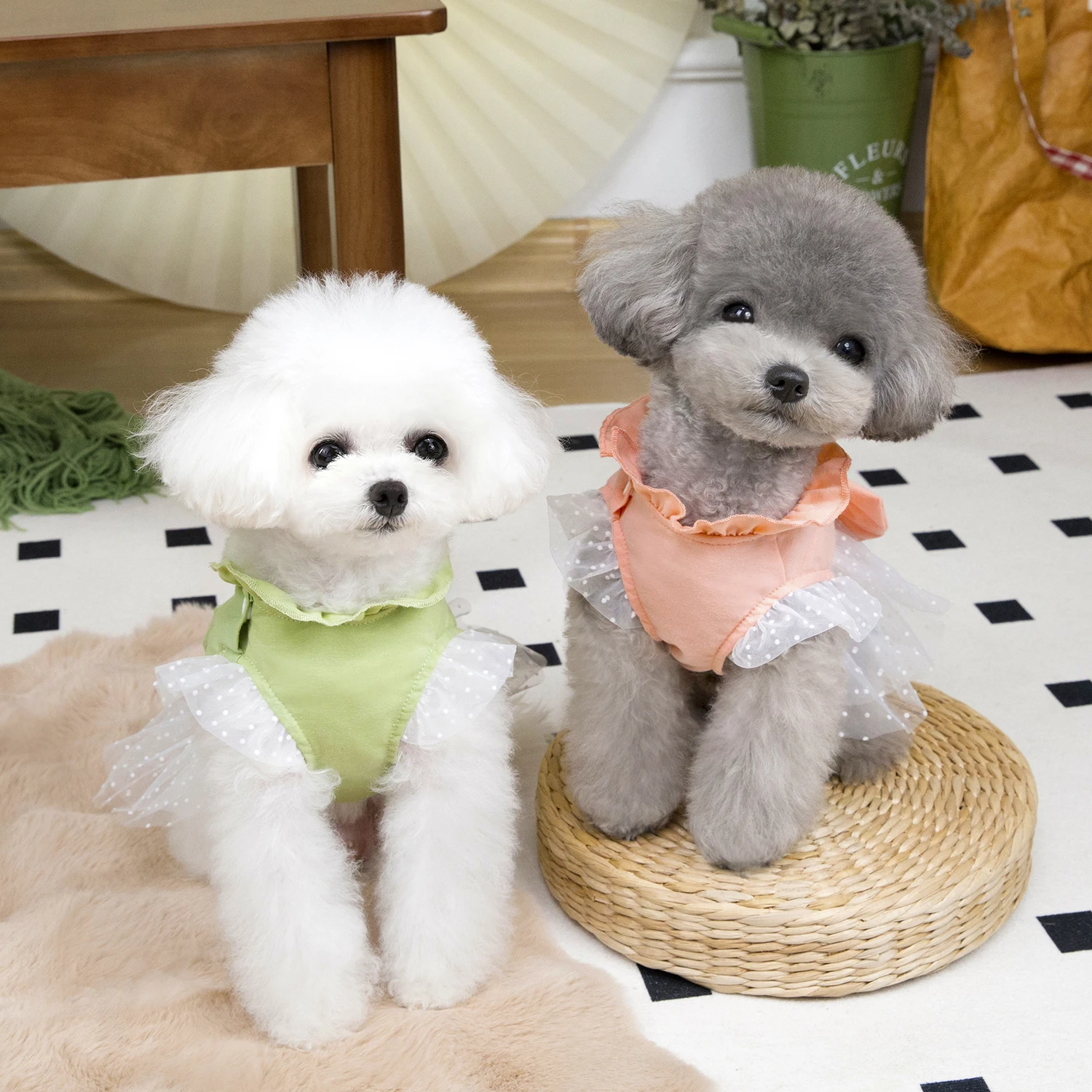 Cute Dog Summer Dress Cat Lace - đánh giá và giá Summer Loving Clothing